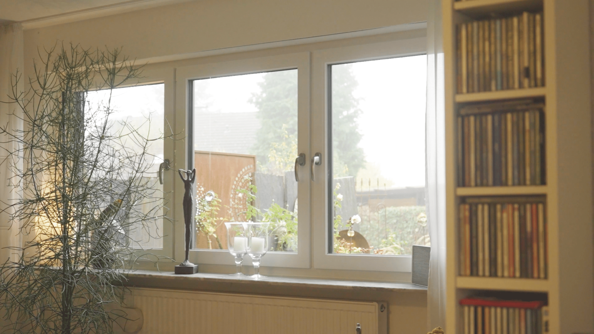 Fenster-2 Wohnzimmer mit Fenster, Zimmerpflanze und Bücherregal, Blick nach draußen auf Garten im Nebel.