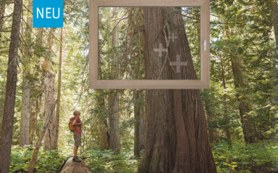 DER NEUE FENSTERTREND: Kunststofffenster mit funktionaler Design-Beschichtung